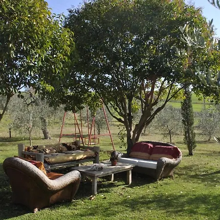 Bed & Breakfast Affittacamere Artemisia Magliano in Toscana