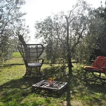 Affittacamere Artemisia Bed & Breakfast Magliano in Toscana