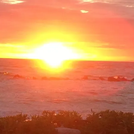 Affittacamere Artemisia