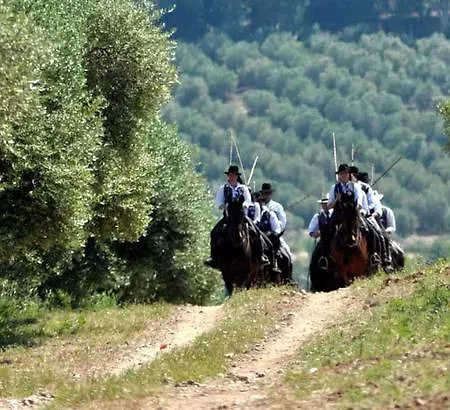 Bed & Breakfast Affittacamere Artemisia Magliano in Toscana