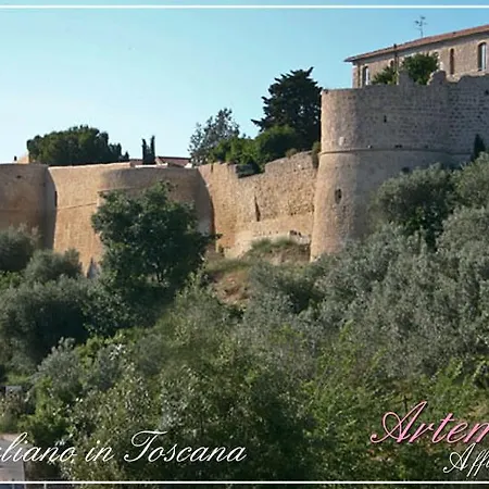 Affittacamere Artemisia Bed & Breakfast Magliano in Toscana