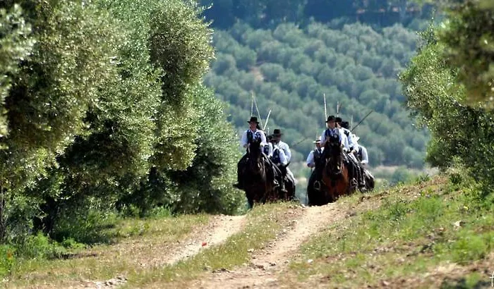 Frühstückspension Affittacamere Artemisia Magliano in Toscana