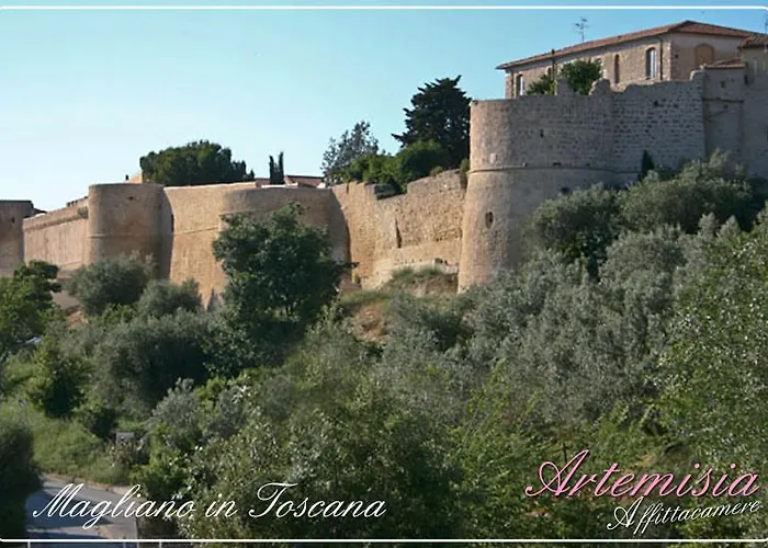 Affittacamere Artemisia Frühstückspension Magliano in Toscana