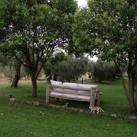 Affittacamere Artemisia Magliano in Toscana