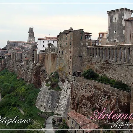 Affittacamere Artemisia *