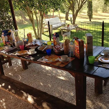 Bed & Breakfast Affittacamere Artemisia *